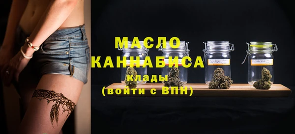 индика Армянск