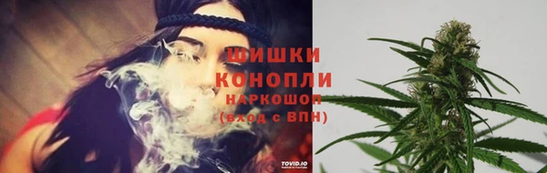 гидра Арсеньев