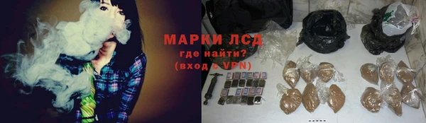 гидра Арсеньев