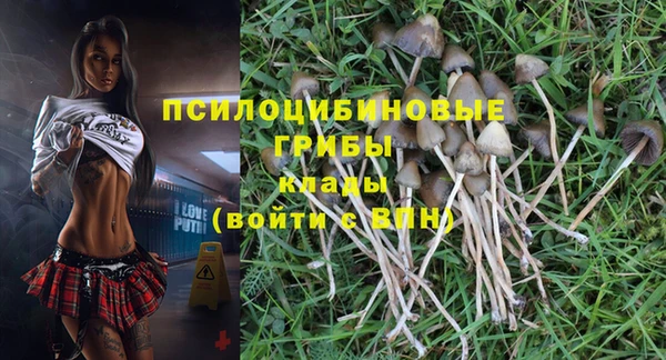 индика Армянск