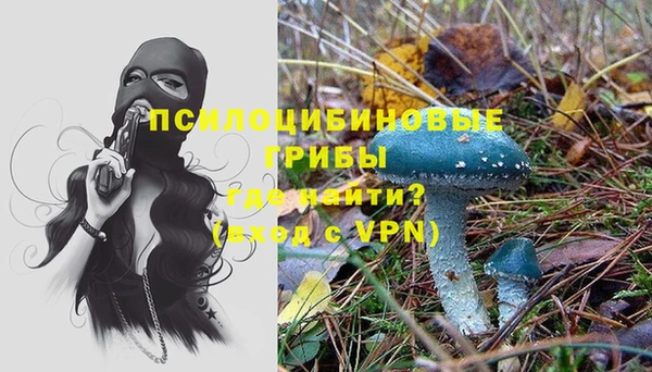 гидра Арсеньев